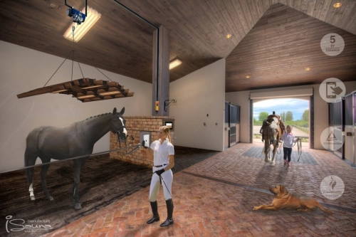 Solárium pre kone - iSauna Horsepower 